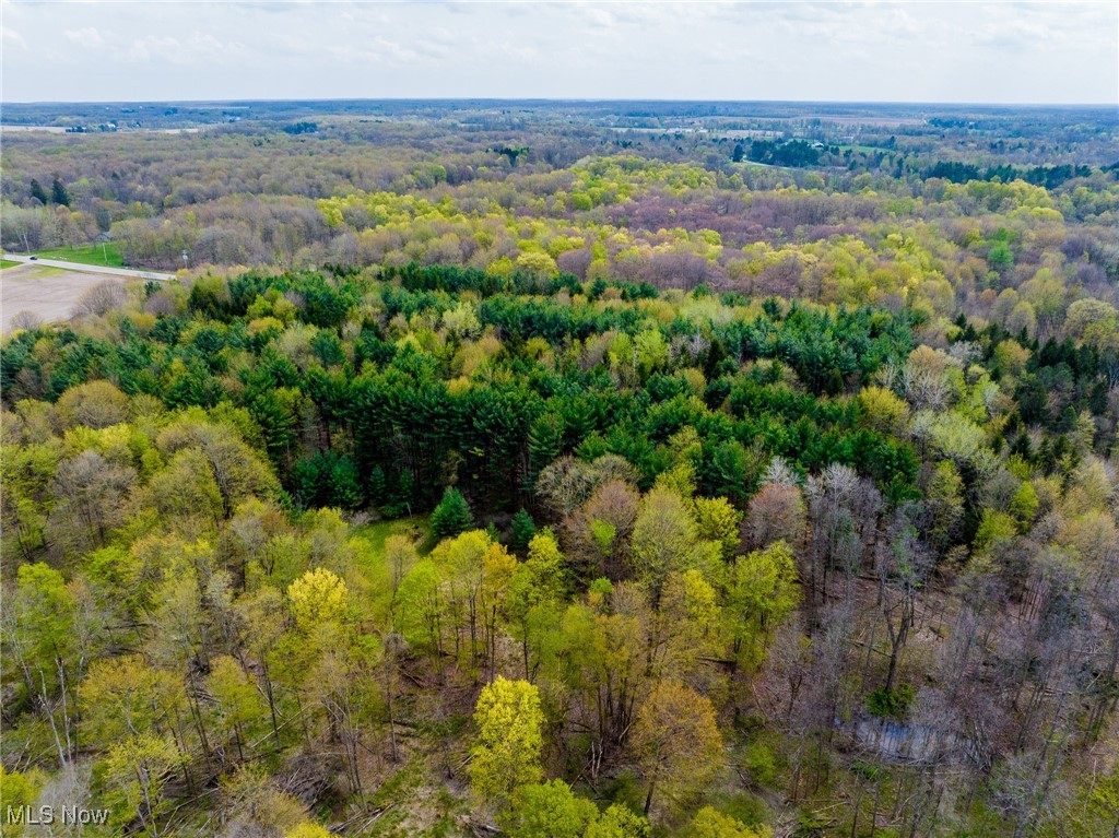 Crosby Creek Road, Rome, Ohio image 37