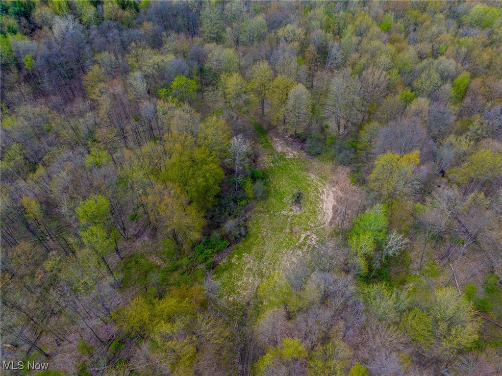 Crosby Creek Road, Rome, Ohio image 36