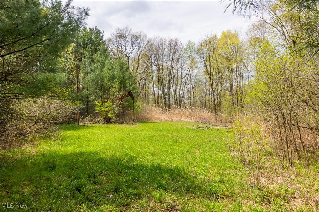 Crosby Creek Road, Rome, Ohio image 8