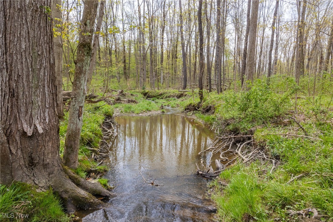 Crosby Creek Road, Rome, Ohio image 24
