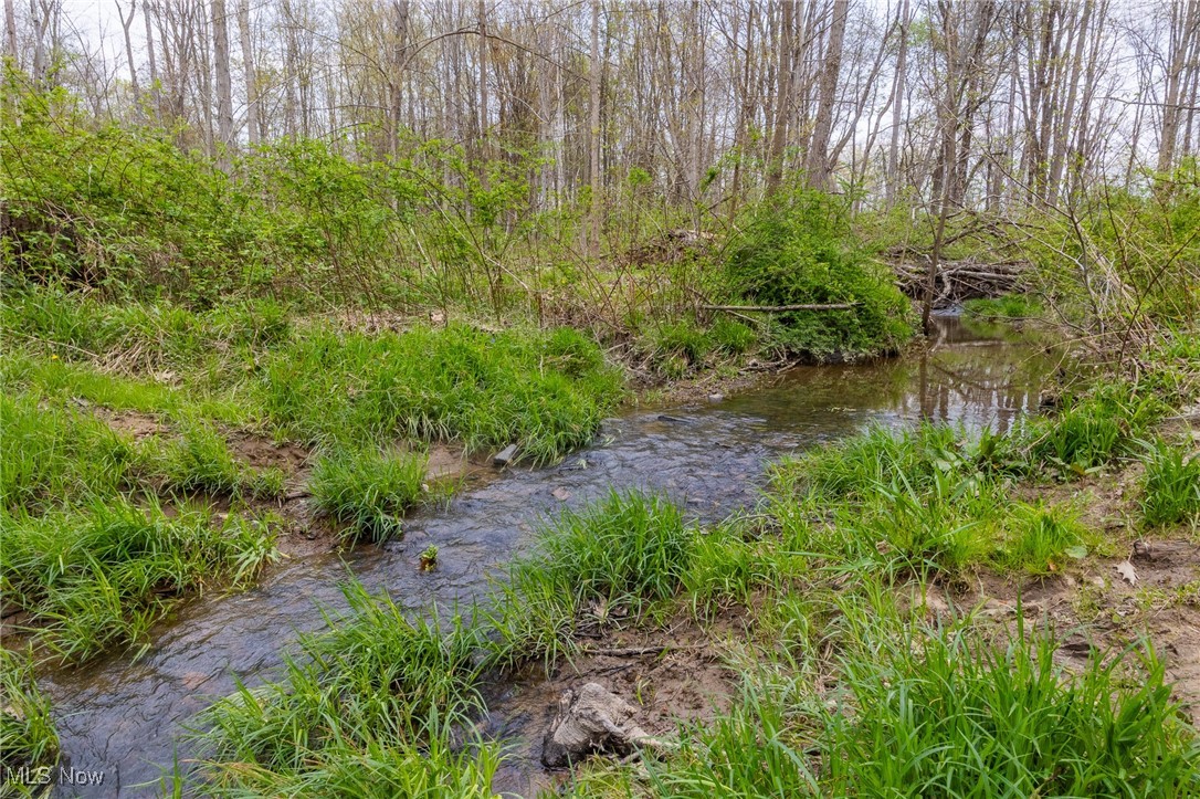 Crosby Creek Road, Rome, Ohio image 22