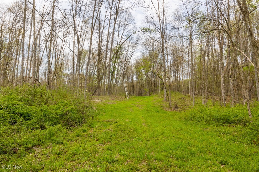 Crosby Creek Road, Rome, Ohio image 25