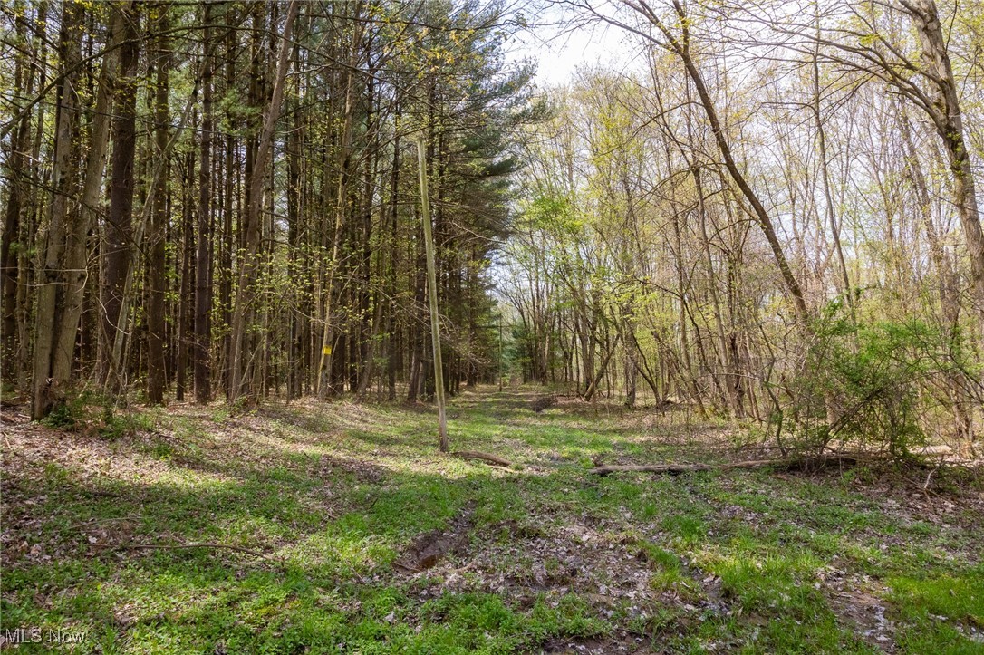 Crosby Creek Road, Rome, Ohio image 4
