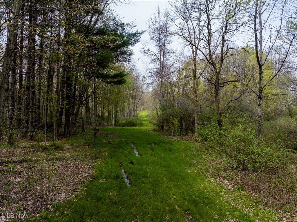 Crosby Creek Road, Rome, Ohio image 32