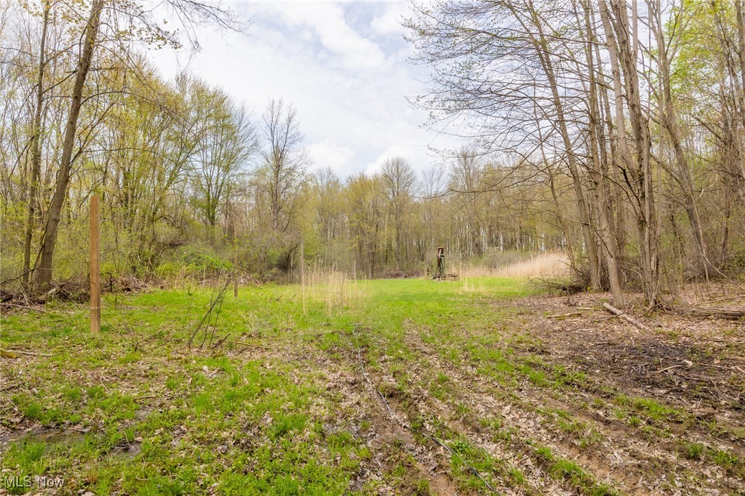 Crosby Creek Road, Rome, Ohio image 26