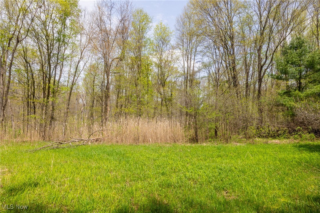 Crosby Creek Road, Rome, Ohio image 9