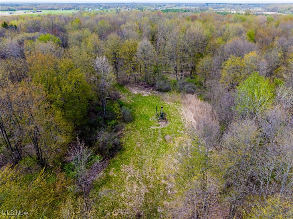 Crosby Creek Road, Rome, Ohio image 35