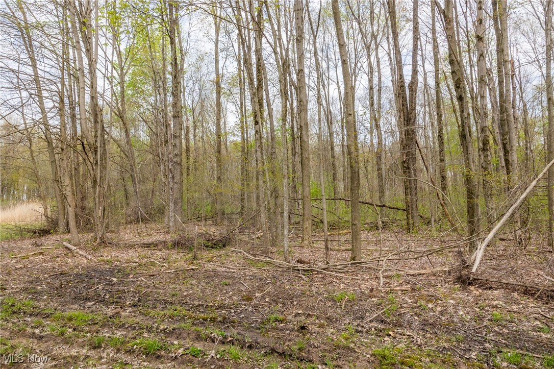Crosby Creek Road, Rome, Ohio image 27