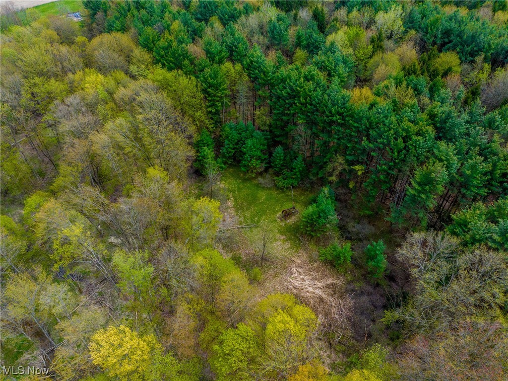 Crosby Creek Road, Rome, Ohio image 38