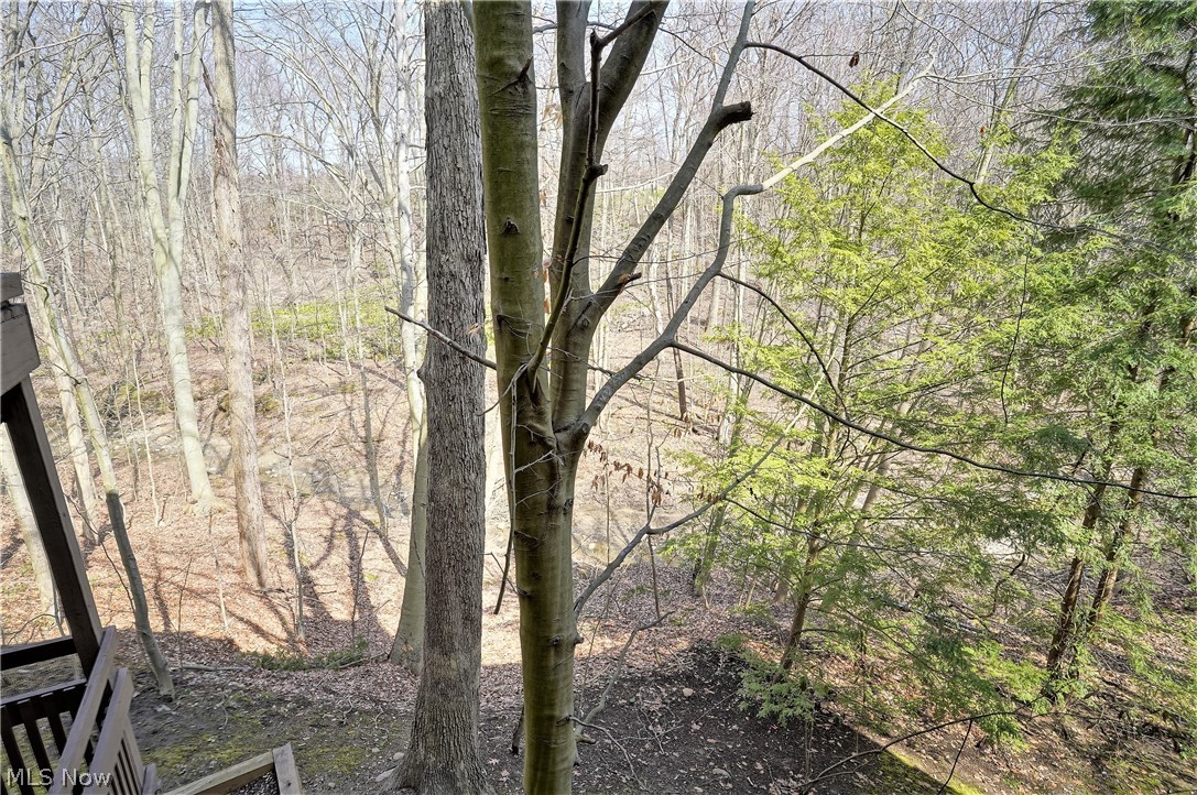 Pine Mill Ridge Condo - Residential