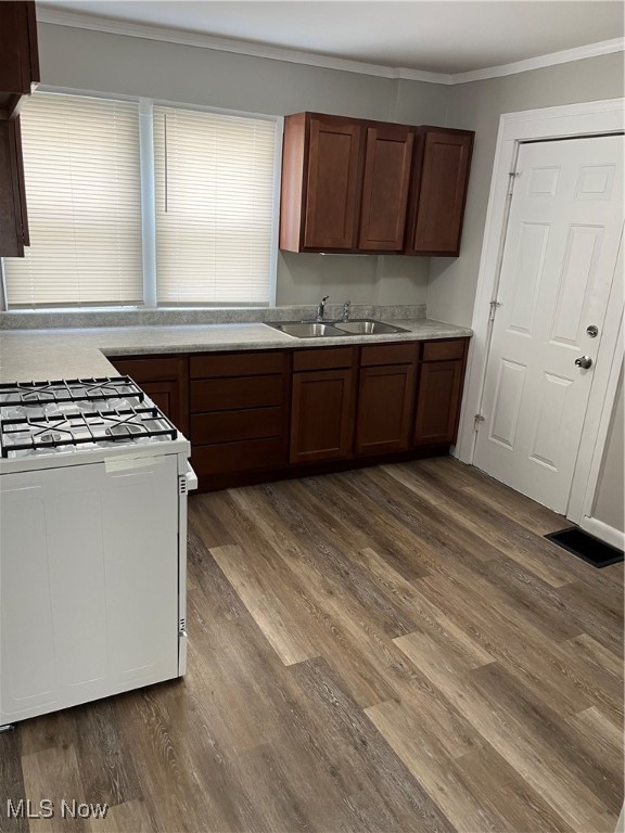 Shadyside Allotment - Residential