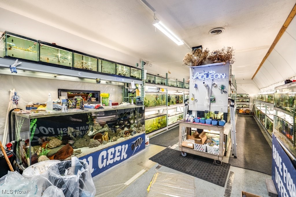 August Cook Allotment - Commercial Sale