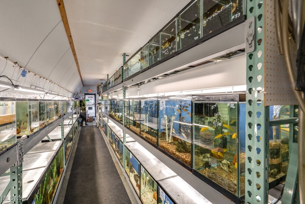 August Cook Allotment - Commercial Sale