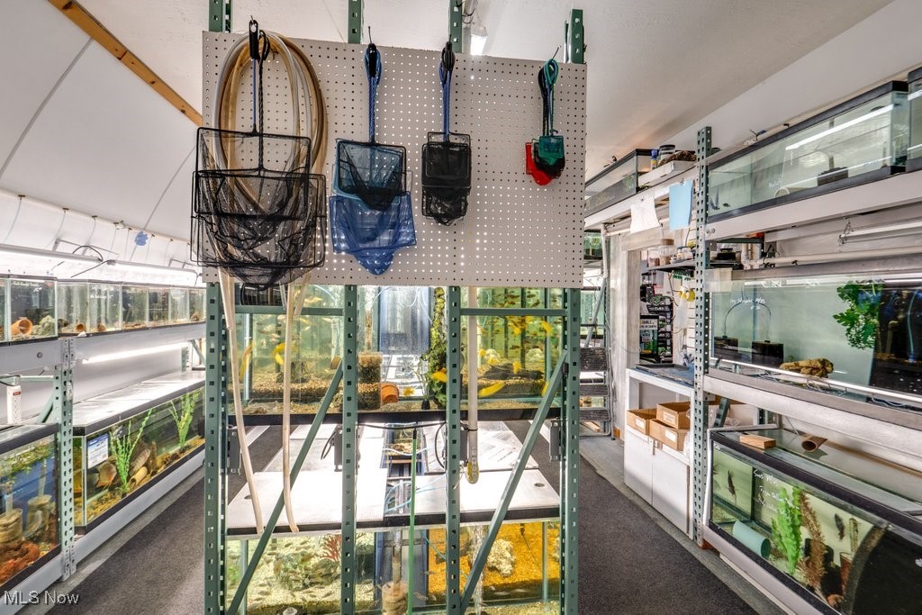 August Cook Allotment - Commercial Sale