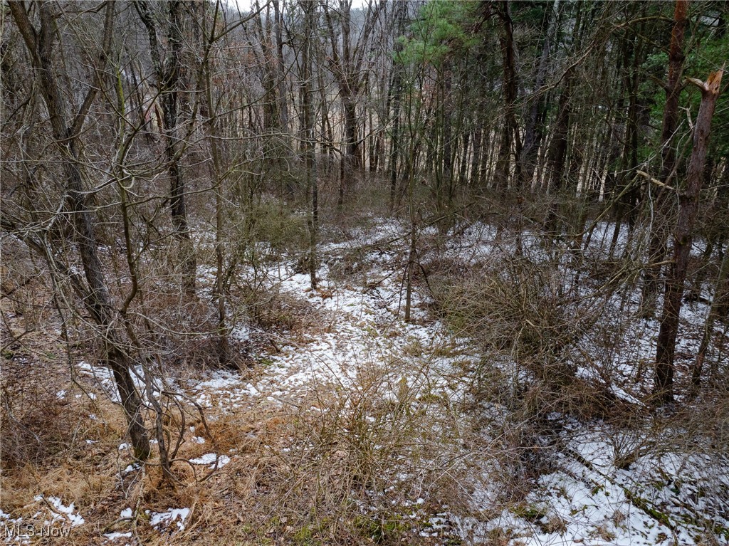 7439 Township Road 129, Millersburg, Ohio image 13