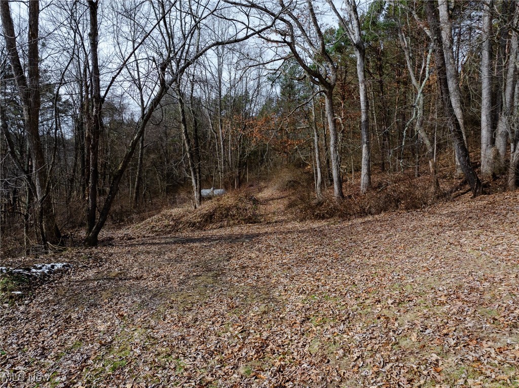 7439 Township Road 129, Millersburg, Ohio image 12