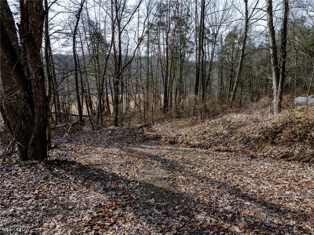 7439 Township Road 129, Millersburg, Ohio image 11