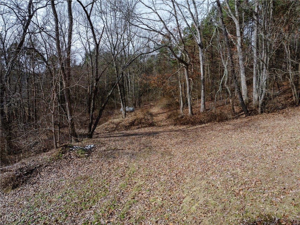 7439 Township Road 129, Millersburg, Ohio image 10