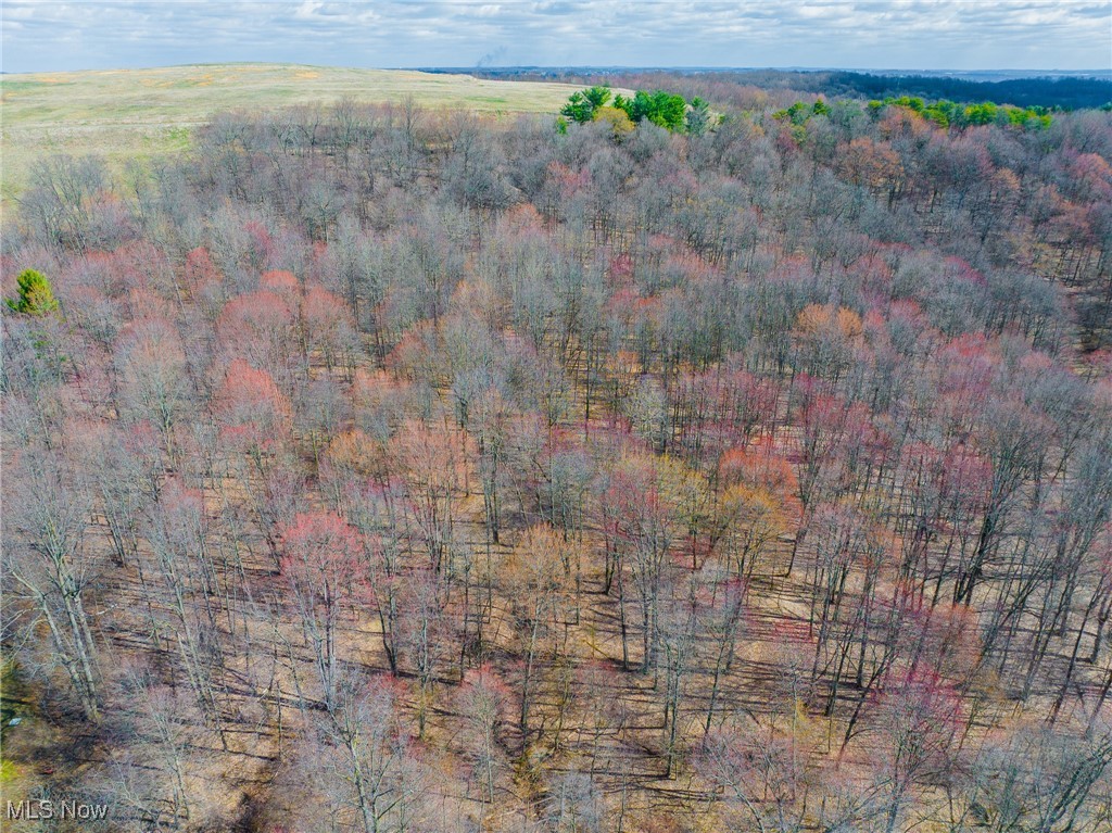 Arney Road, Navarre, Ohio image 27