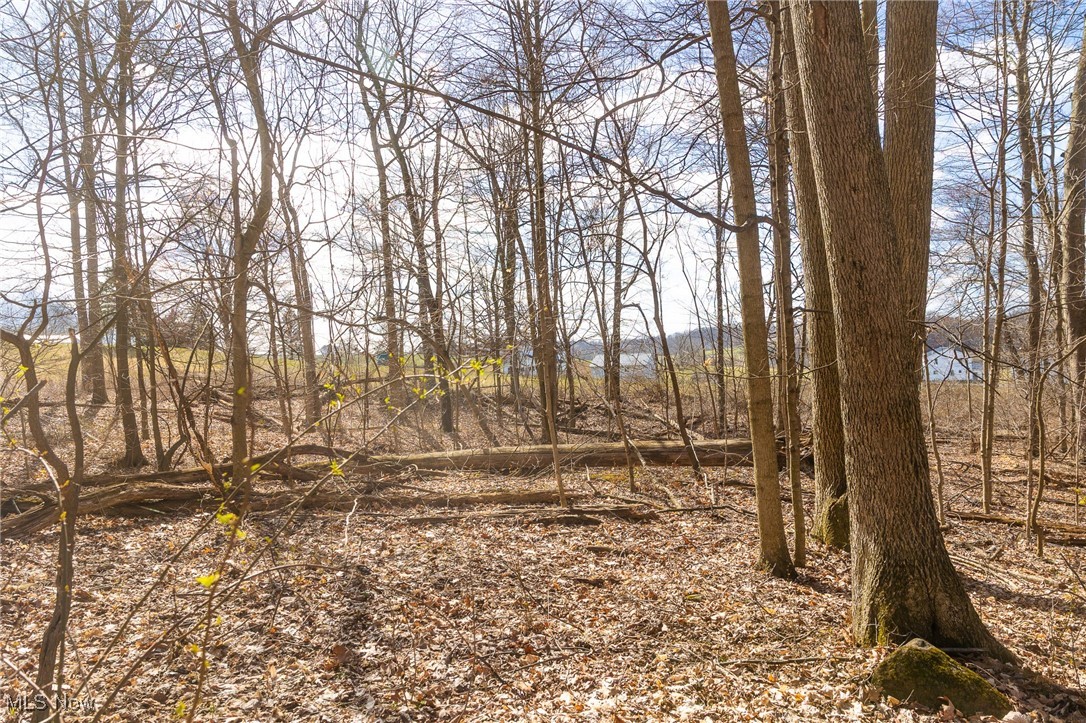 Arney Road, Navarre, Ohio image 12