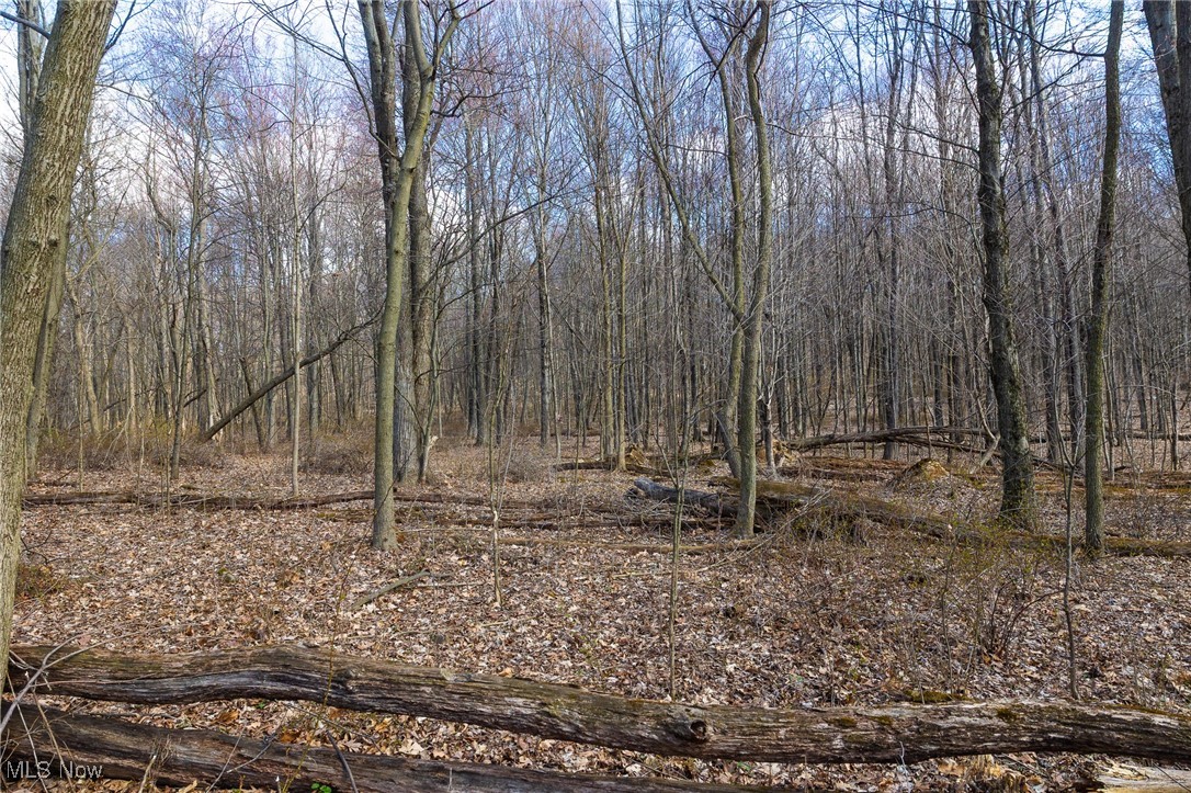 Arney Road, Navarre, Ohio image 13
