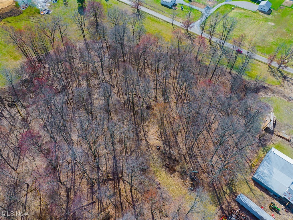 Arney Road, Navarre, Ohio image 26
