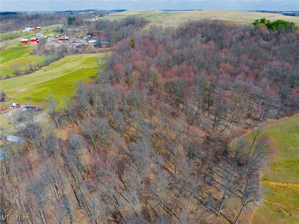 Arney Road, Navarre, Ohio image 31