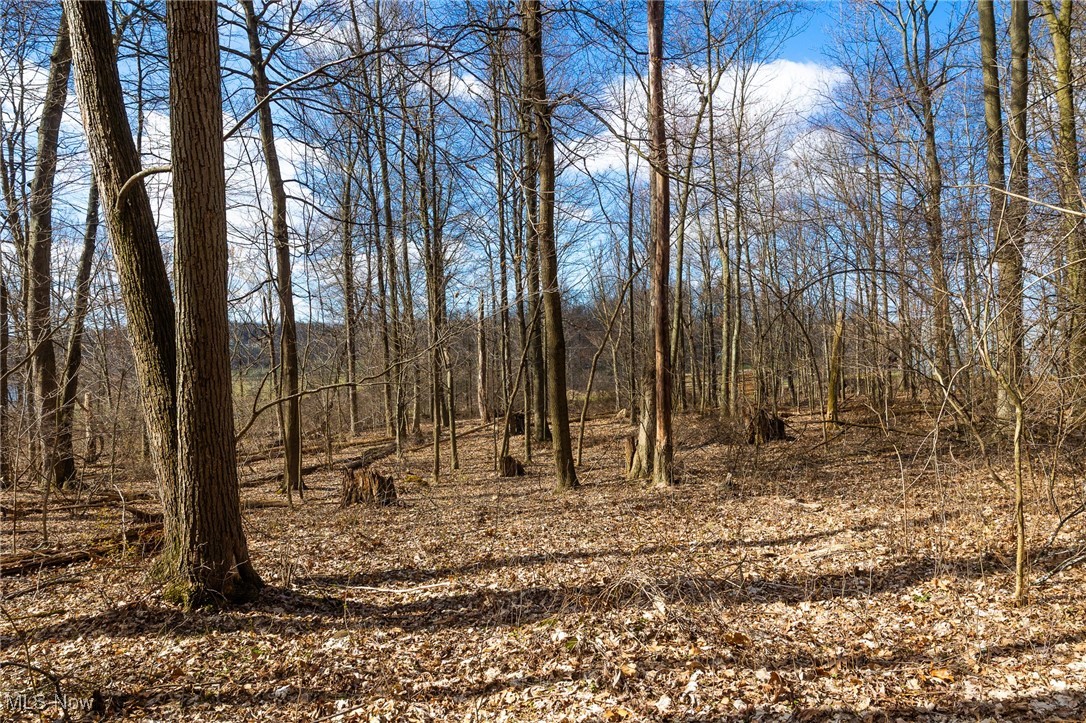 Arney Road, Navarre, Ohio image 11