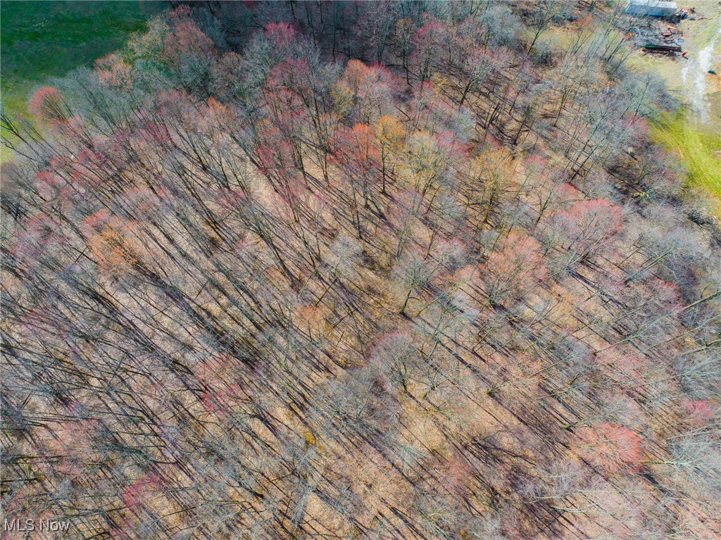 Arney Road, Navarre, Ohio image 21