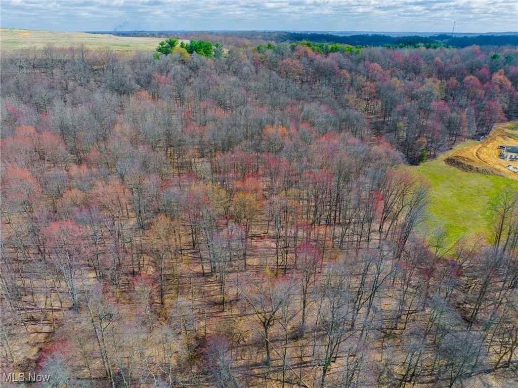 Arney Road, Navarre, Ohio image 28