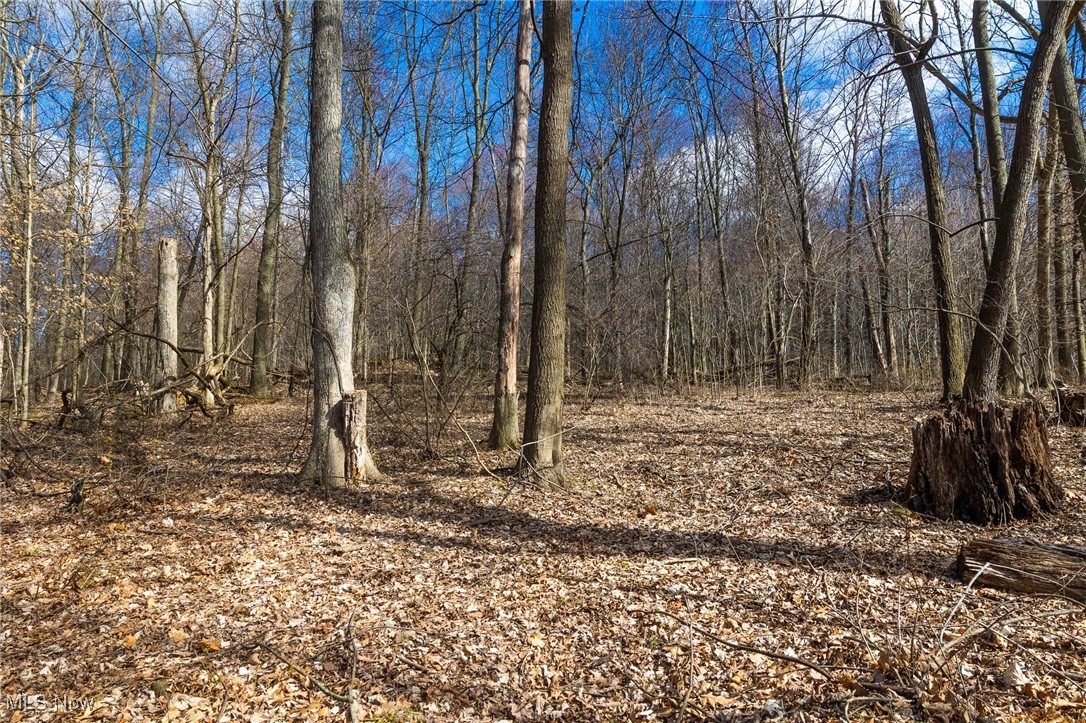 Arney Road, Navarre, Ohio image 7