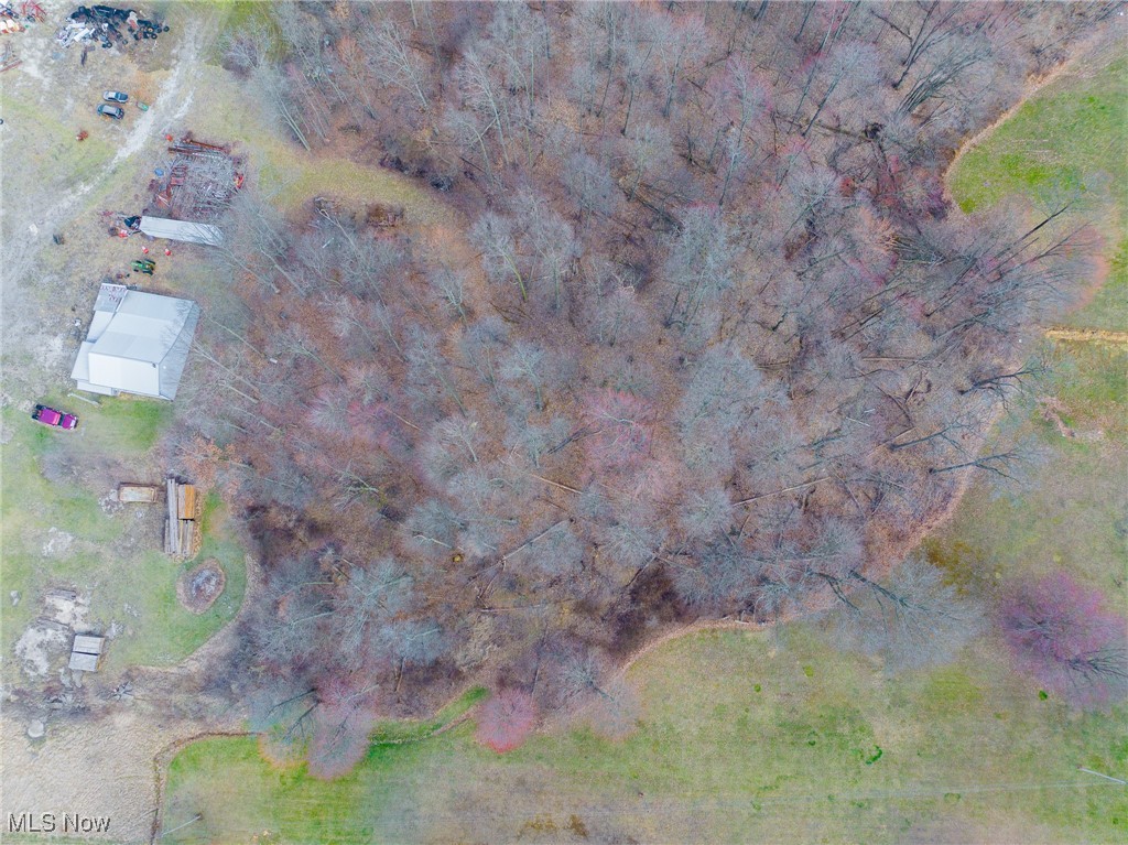 Arney Road, Navarre, Ohio image 18