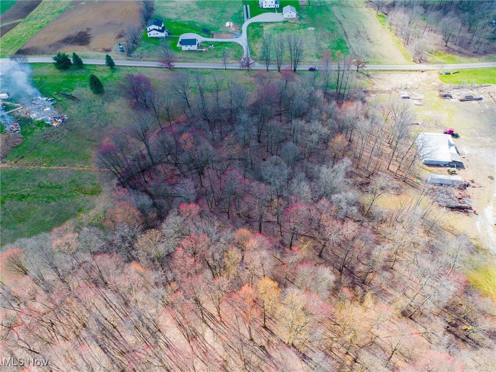 Arney Road, Navarre, Ohio image 20