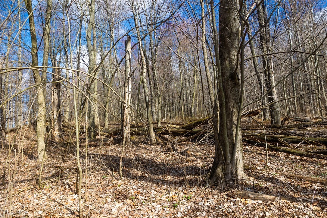 Arney Road, Navarre, Ohio image 10