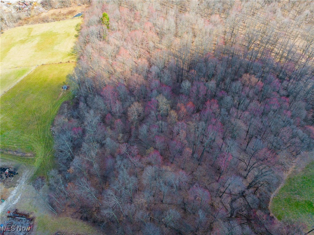Arney Road, Navarre, Ohio image 19