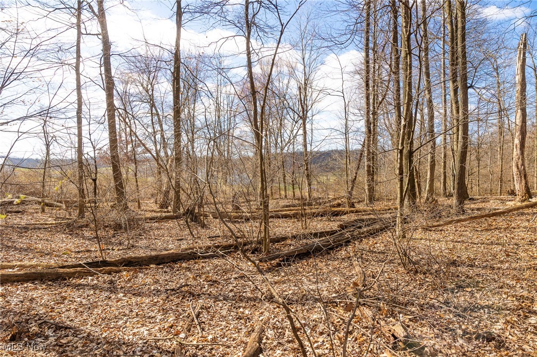 Arney Road, Navarre, Ohio image 9