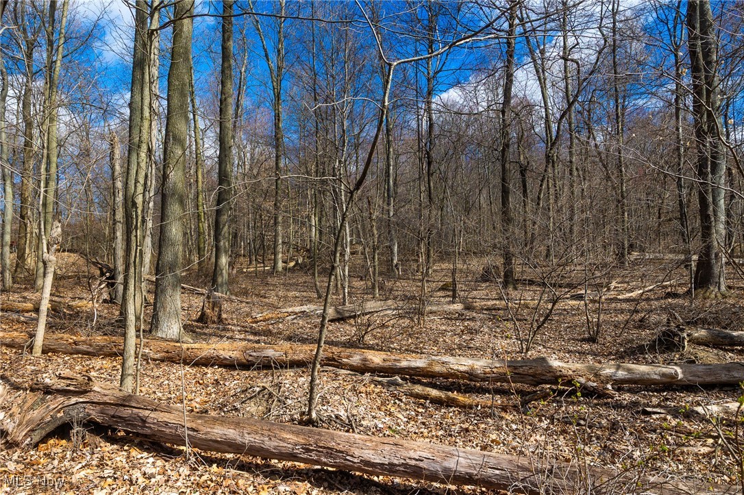 Arney Road, Navarre, Ohio image 6