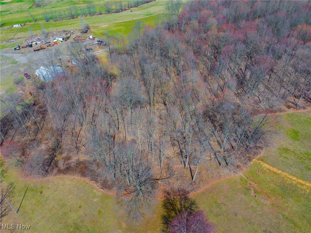 Arney Road, Navarre, Ohio image 32