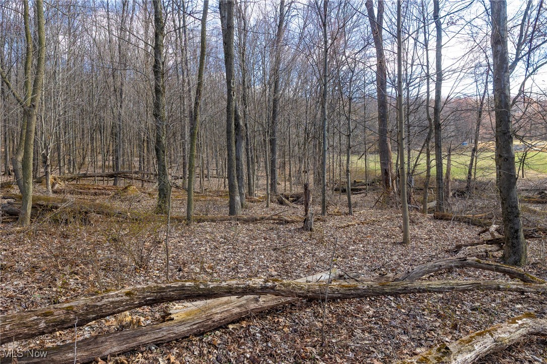 Arney Road, Navarre, Ohio image 14