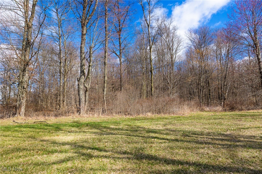 Arney Road, Navarre, Ohio image 3