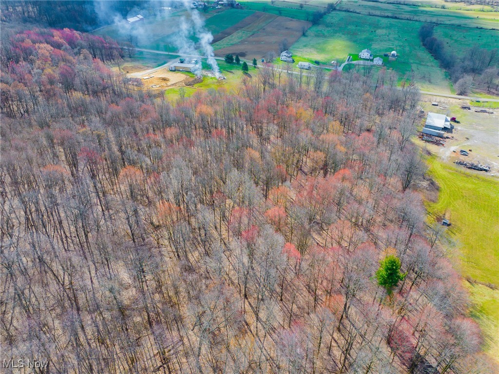 Arney Road, Navarre, Ohio image 23