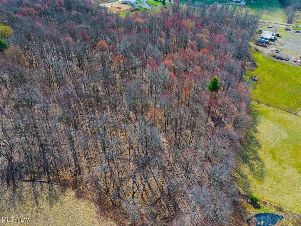 Arney Road, Navarre, Ohio image 25