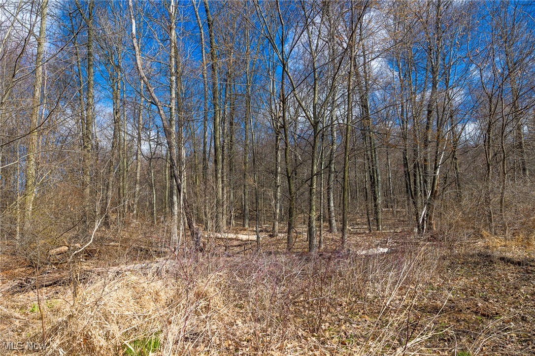 Arney Road, Navarre, Ohio image 5