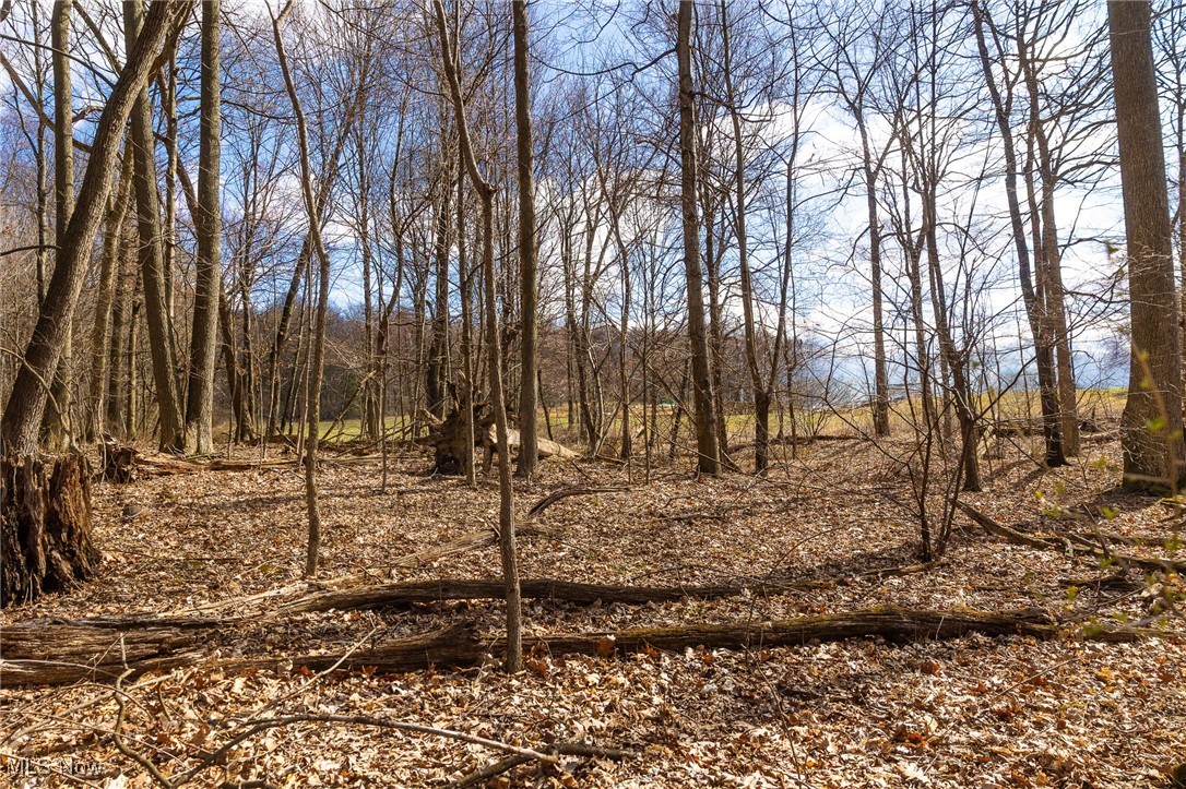 Arney Road, Navarre, Ohio image 8