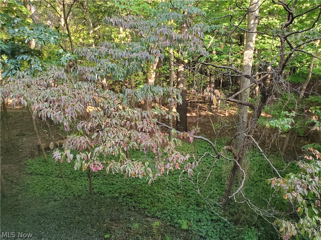 Silver Lake Towers - Residential