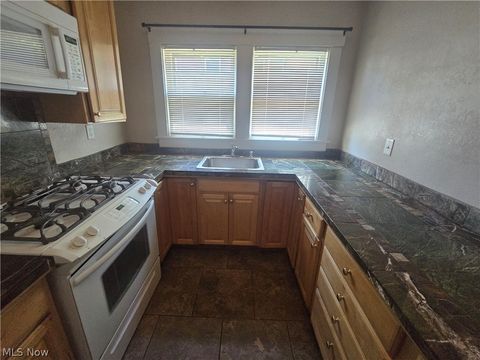 Tiny photo for 2424 Elm Street, Youngstown, OH 44505 (MLS # 5217122)