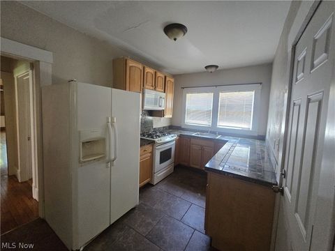 Tiny photo for 2424 Elm Street, Youngstown, OH 44505 (MLS # 5217122)