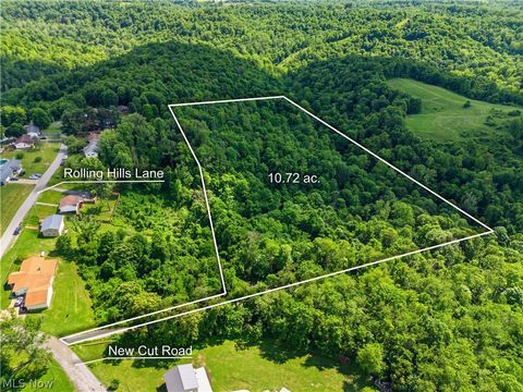 Vacant Land For Sale - New Cut Rd<br/> Shadyside, OH 43947