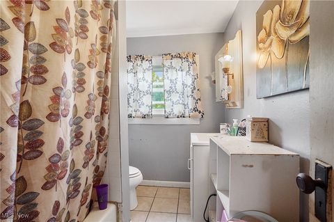 Tiny photo for 201 W Clark Street, East Palestine, OH 44413 (MLS # 5146542)