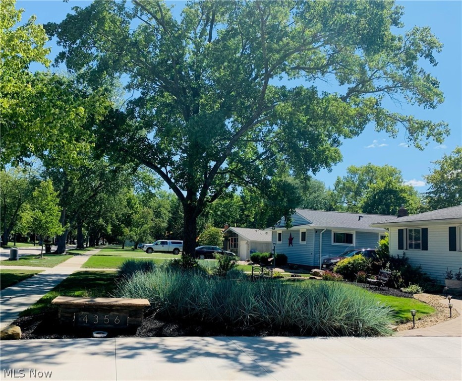 Treelane - Residential